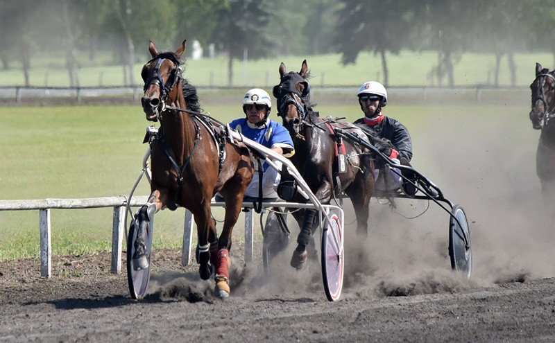 Program VI "Vojvođanskog galopa"