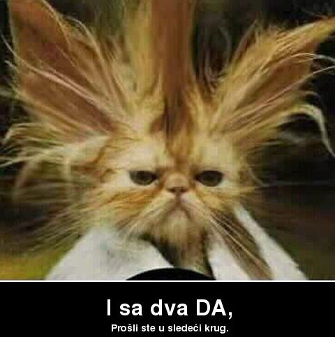 svirka benda " NEĐO I DRUŽINA " naživo