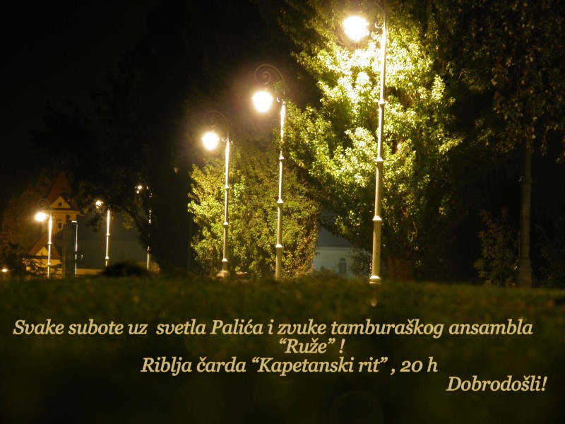 Tamburaški orkestar "Ruže"