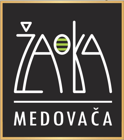 Saša Babić i Mega Band