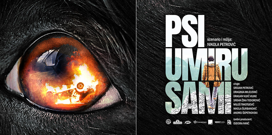 Domaći film: Psi umiru sami