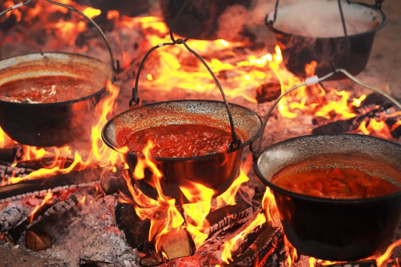 Takmičenje u kuvanju kotlića