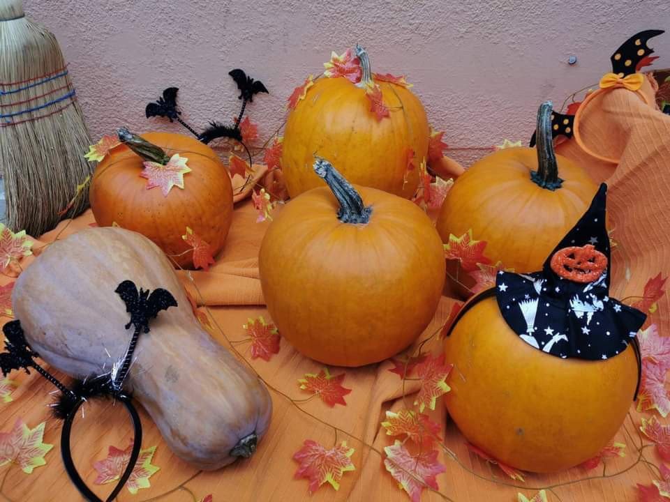 4. Humanitarni Bazar za Olivera