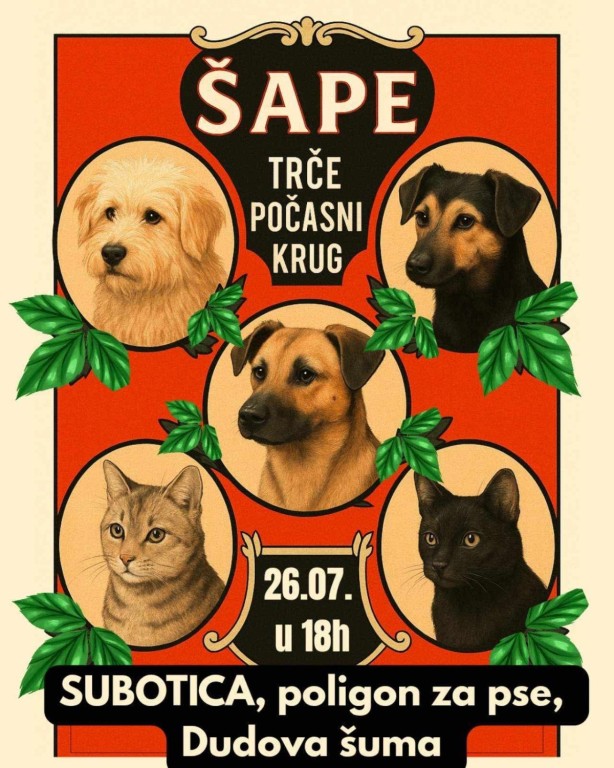 "Šape trče počasni krug"