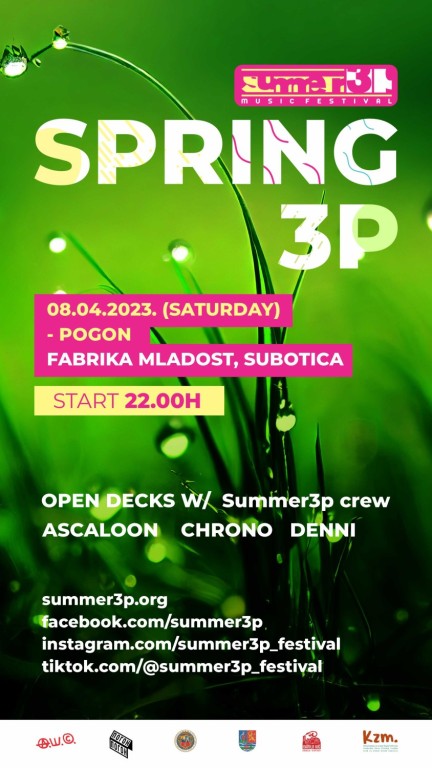Summer3p Spring3p party