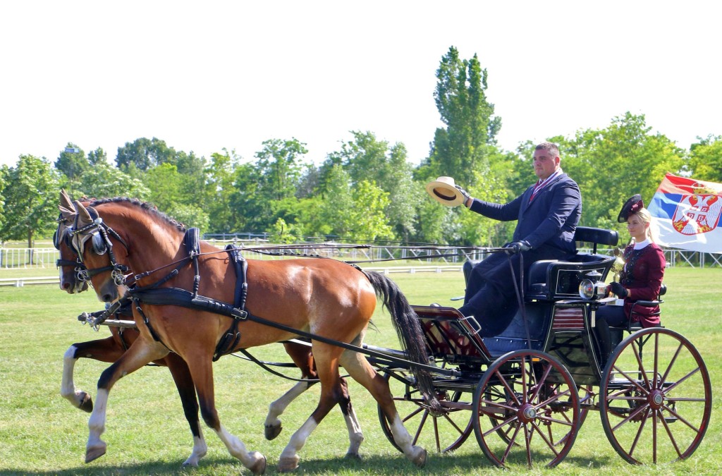 Otvoreno prvenstvo Srbije u vožnji zaprega