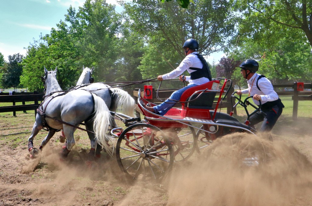 Otvoreno prvenstvo Srbije u vožnji zaprega