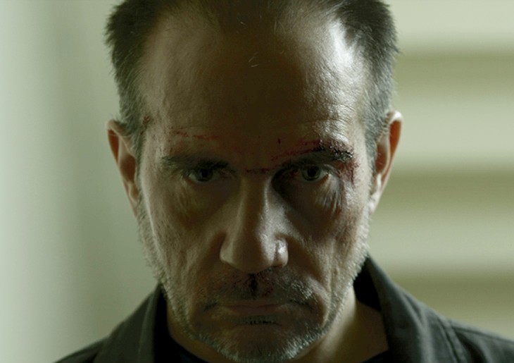 FEF 2014: Čudna šuma