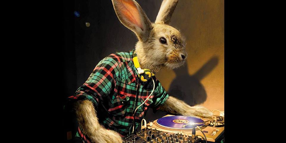 Easter party with Dj Bojan Lučić - Boxy