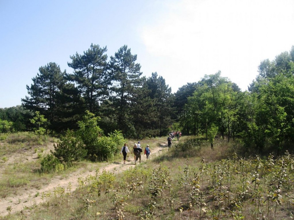 Proleće u peščari