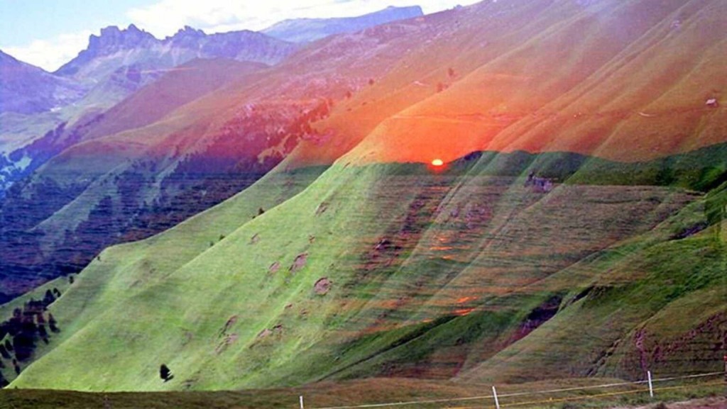 Gostovanje umetnika iz Crne Gore - Negovana divljina