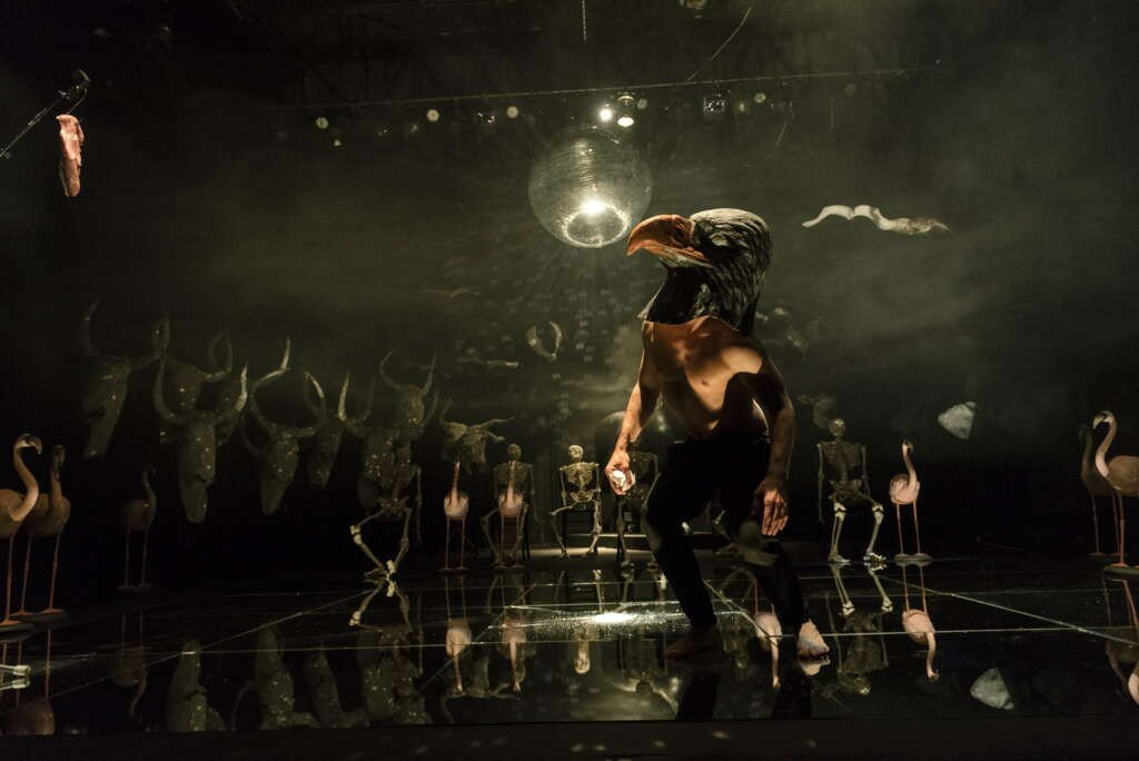 Predstava: Poetika gledanja