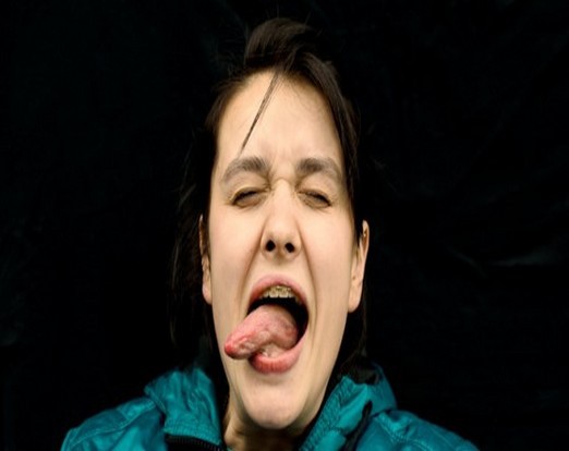 FEF Palić - Takmičarski program