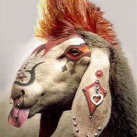 TaTToo / PirSing Party