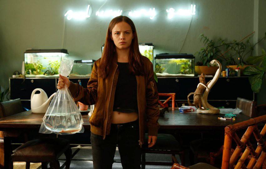 EFF - Takmičarski program - Preterani aksolotl