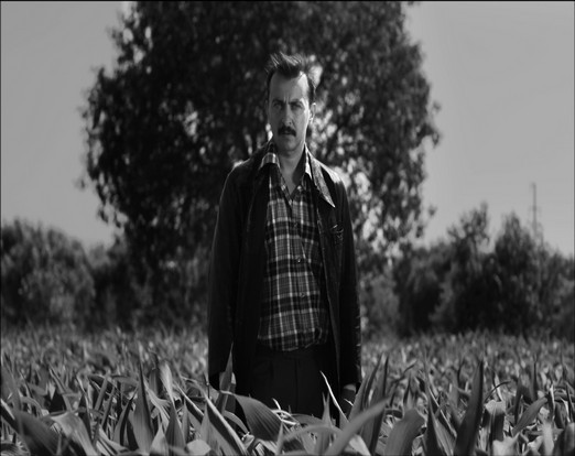 FEF Palić - Takmičarski program