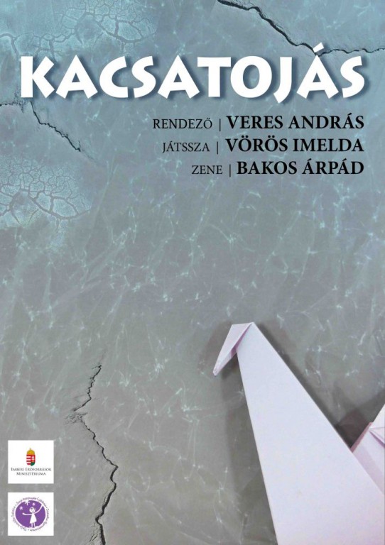 KACSATOJÁS  magyar nyelvű előadás  4