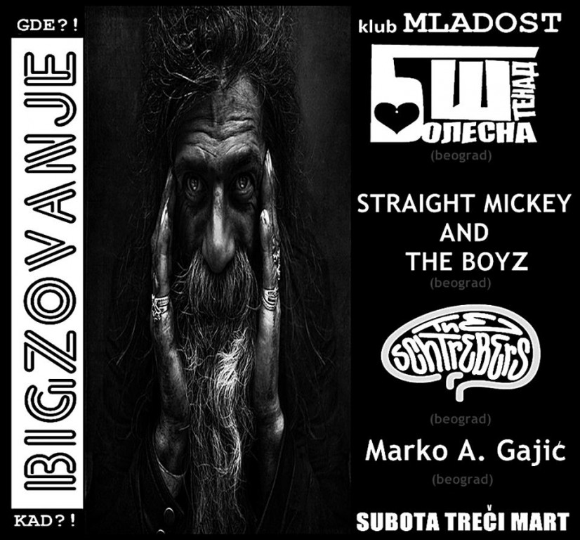 Koncert grupa;Bolesna stenad,Straight mickey,The Schtrebers,Marko Gajic
