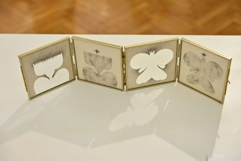 Ena Gergić: Skrivenosemenica - razgovor sa umetnicom