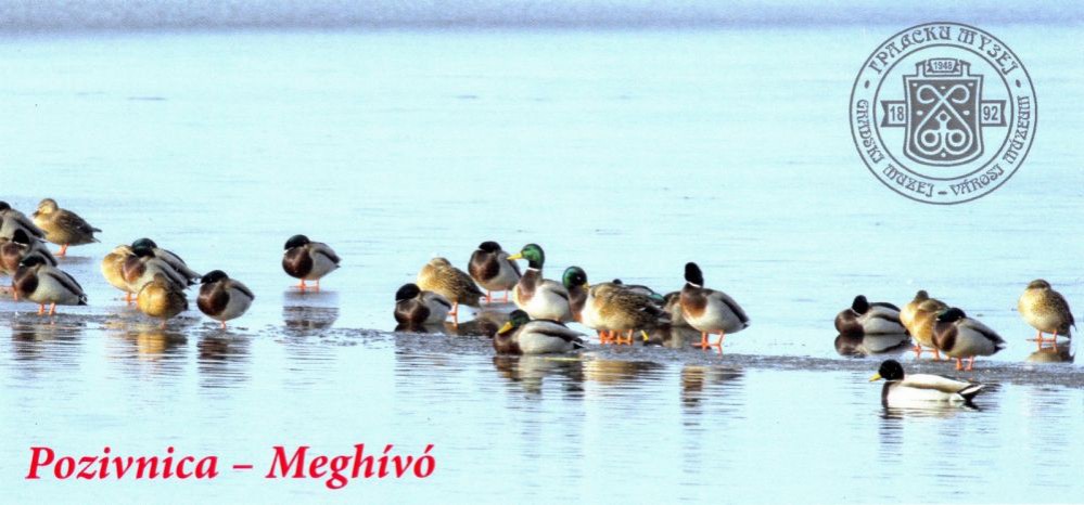 Voda koja život znači