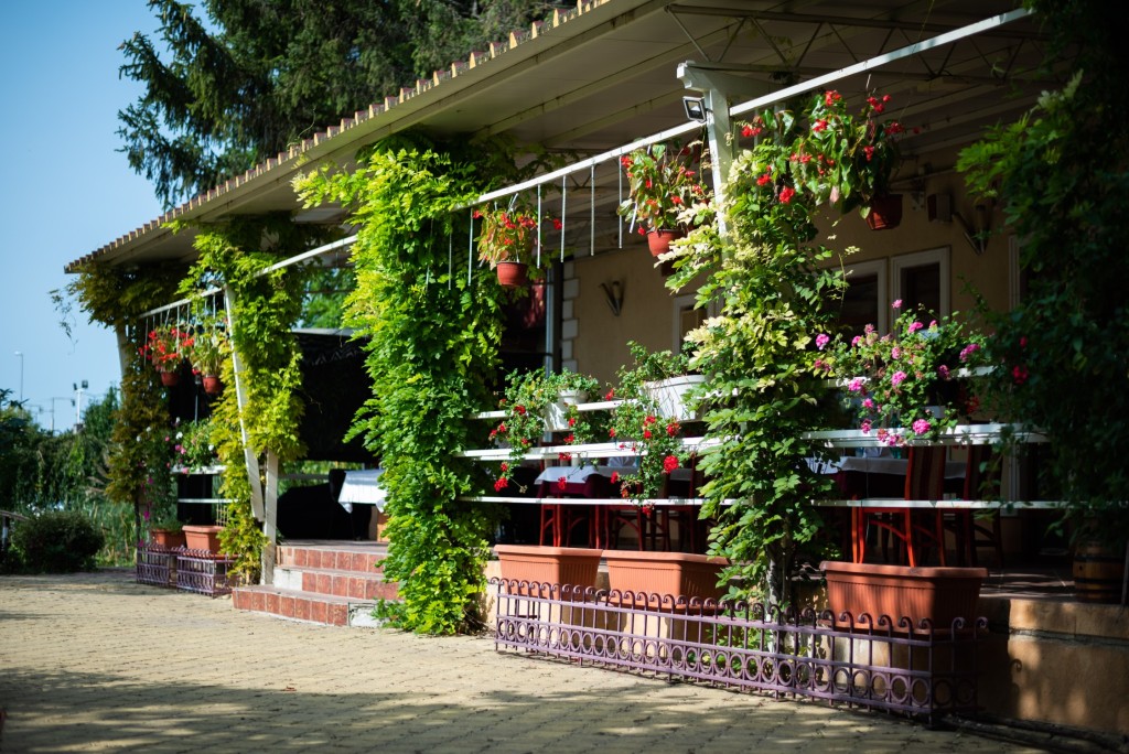 Novogodišnji ručak u restoranu Shiraz