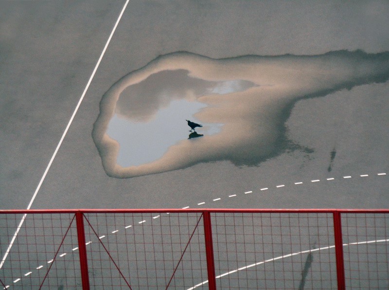 Bojan Bem: Godišnja doba