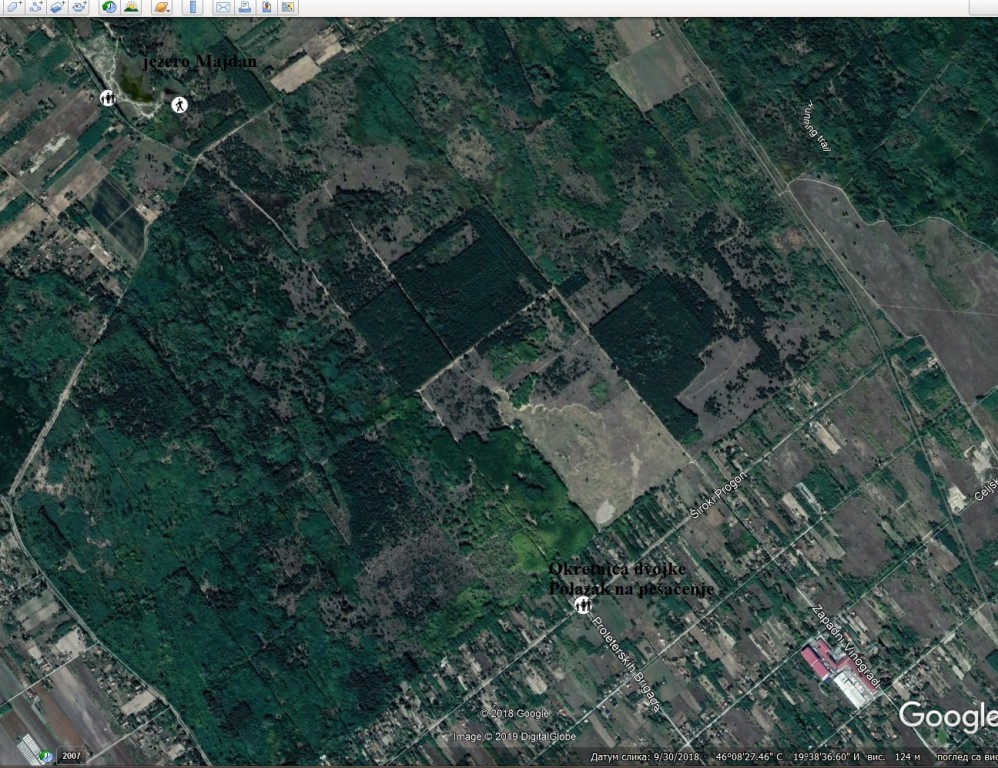 Pešačenje sredom kroz Subotičku peščaru