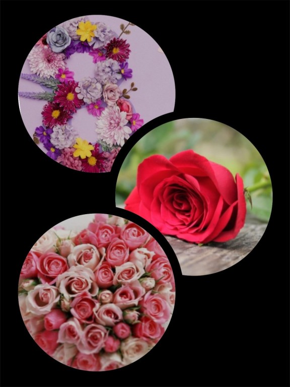 8. Mart Restoran Shiraz