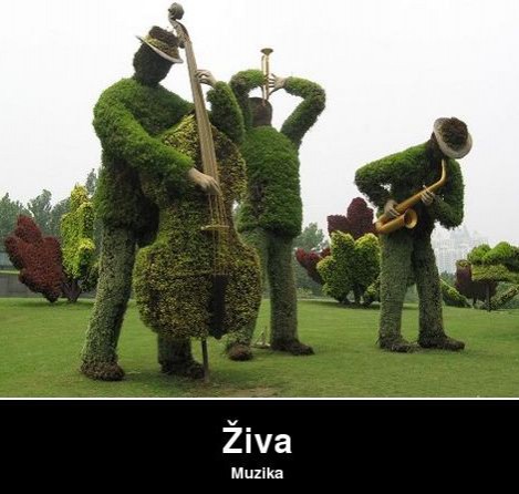 Blues trio bend live