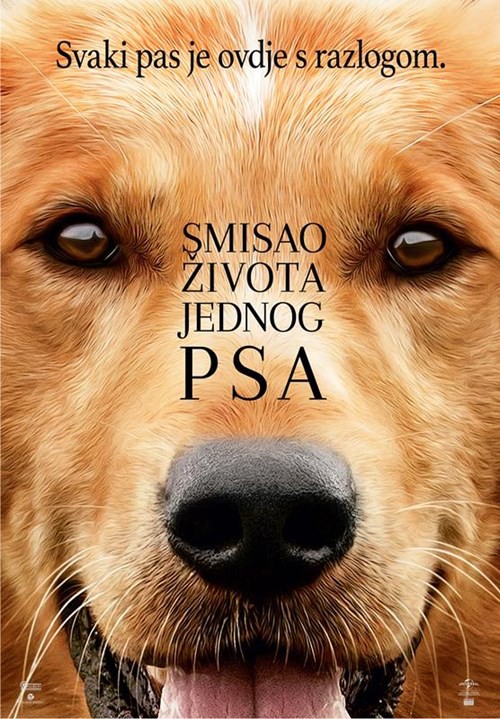 Film: Smisao života jednog psa