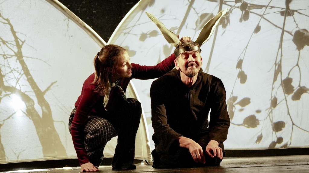 Előadás gyerekeknek: Tükörrengeteg