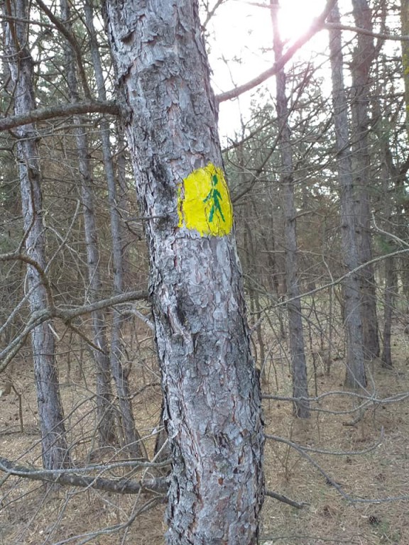 Redovna šetnja zdravlja sredom