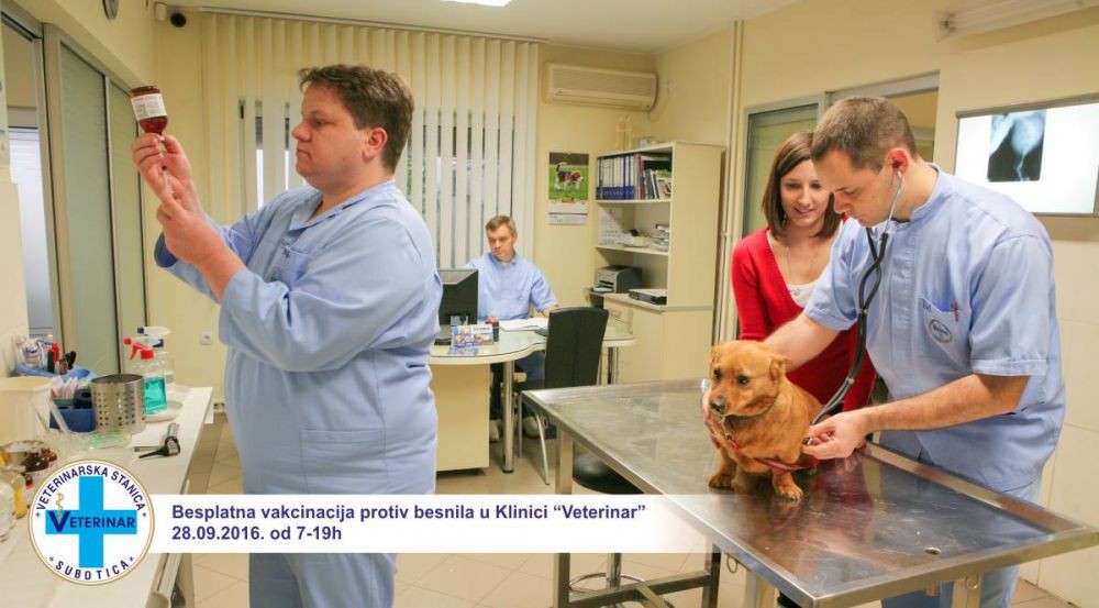 Besplatna vakcinacija protiv besnila