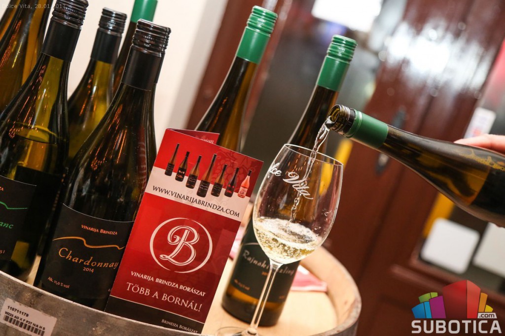 Degustacija vina Brindza