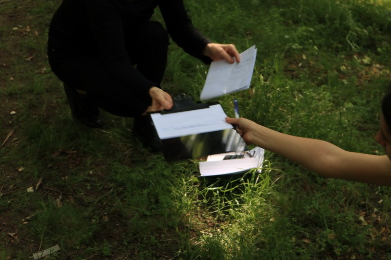 Radionica kolektivne poezije