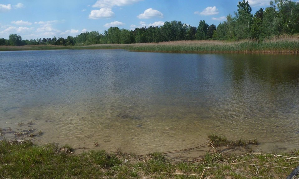 Redovna Šetnja Zdravlja