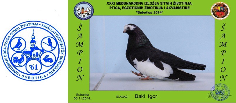 34. Izložba sitnih životinja " Subotica 2018"