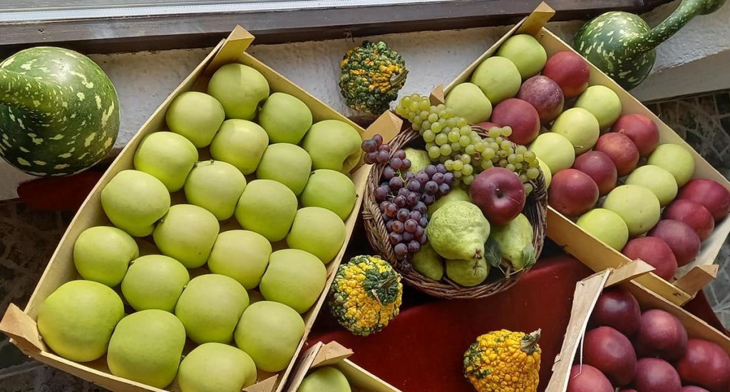 XII Tavankutski festival voća i autohtonih rukotvorina