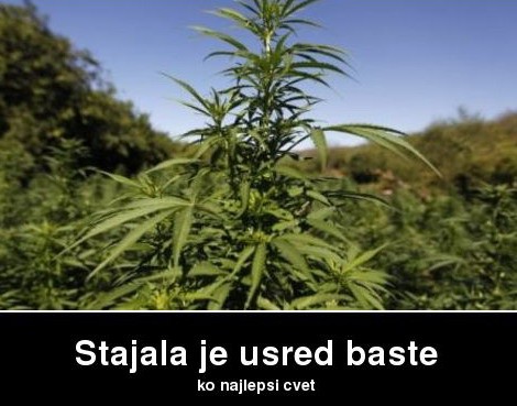 Halas & Skinfy acoustic na živo