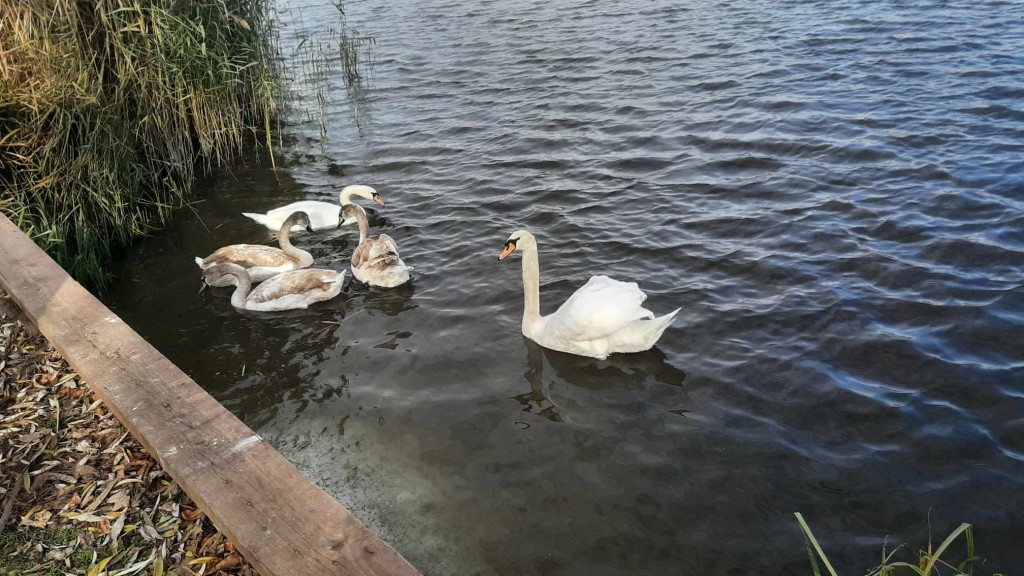 NAJAVA AKCIJA: Rekreativna šetnja zdravlja, subota 01.03. i nedelja 02.03.2025