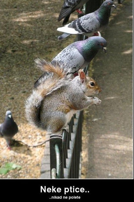 Novogodišnji Superakustik bend na živo