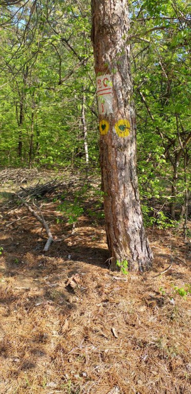 Šetnja zdravlja sredom