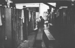 Brigada iz snova (Álombrigád)