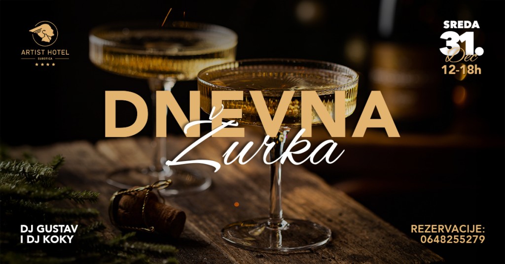 Dnevna žurka u Artist hotelu