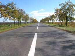 Vajdasági magyar mozgókép napja 2014