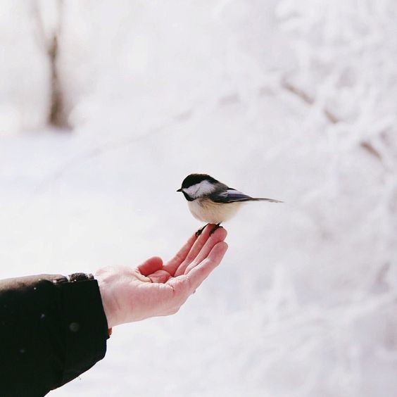 Radionica: Šta osećam, šta mi se dešava?