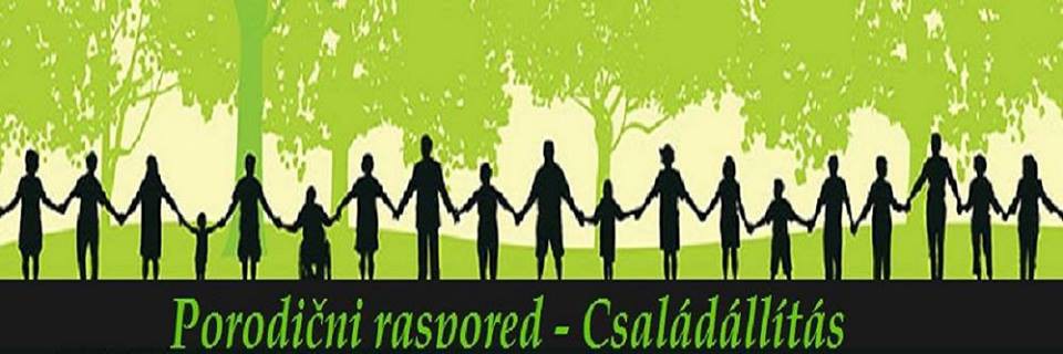 Porodični raspored: Poredak ljubavi