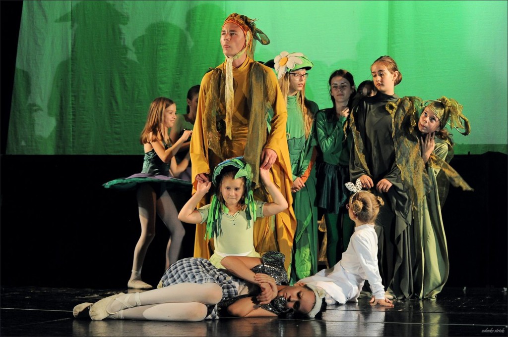 Dečja predstava: Plava ptica