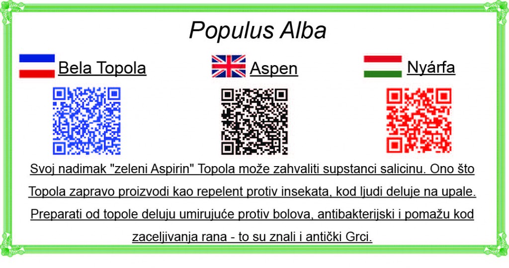 Volonterska akcija: Drvo neguj, porodicu mu prepoznaj