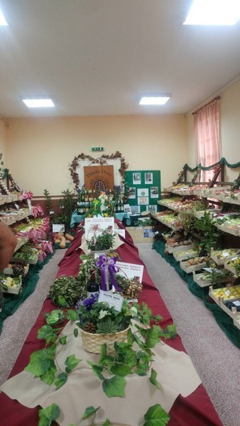 Berbanski dani - Hajdukovo